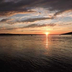 Meet your Posher, Lily